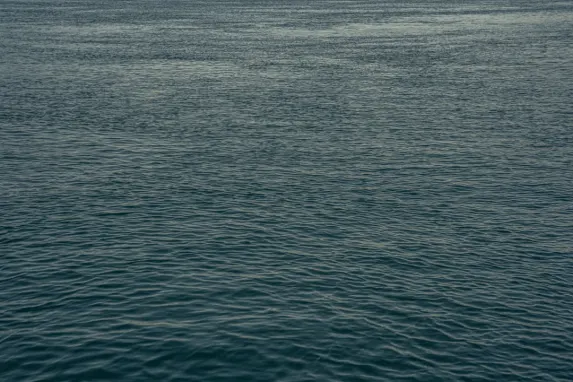 Casino Jackpot Molly Soporte